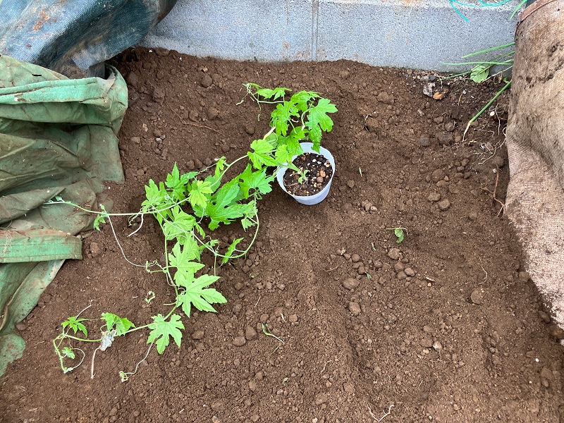 260728a.jpg