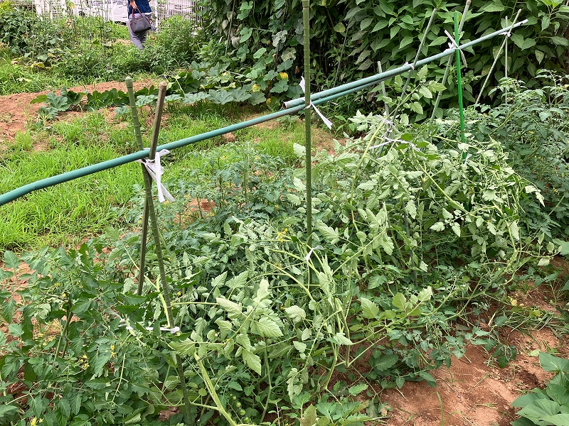 260712a.jpg