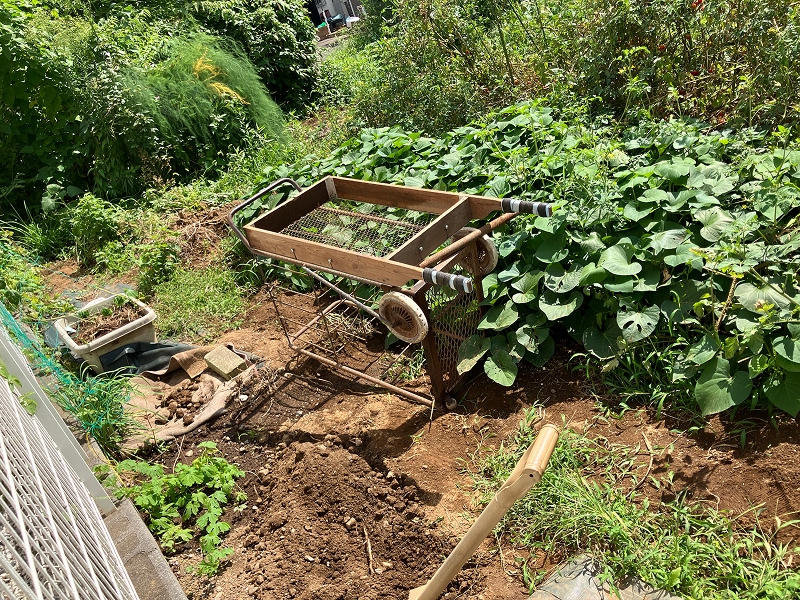 260819.jpg